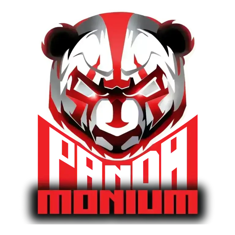 Pandamonium &mdash; MMA gym & fitness centre at Johan van Rooyen Hipermart Centre, Helderkruin, Roodepoort